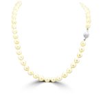 'Akoya' Sea Water Golden Pearl Necklace P009