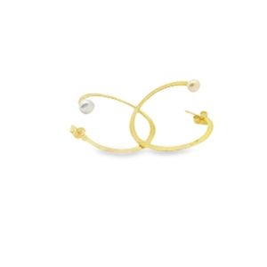 Sterling Silver Hoop Earrings SE202