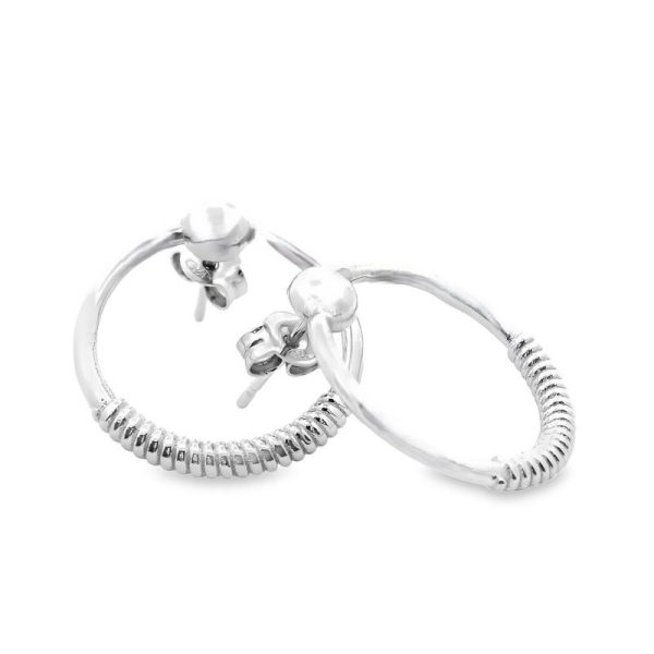 Sterling Silver Earrings SE2241