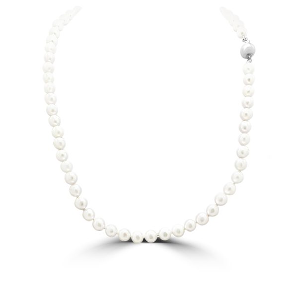 'Akoya' Sea Water Pearl Necklace P011