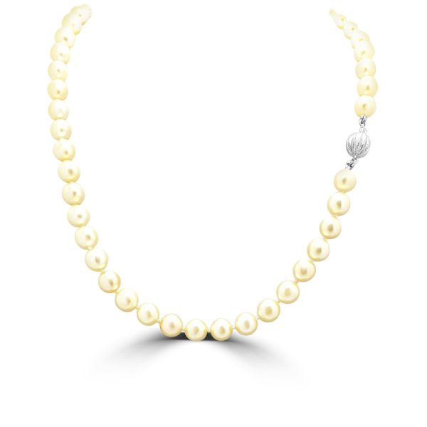 'Akoya' Sea Water Golden Pearl Necklace P009
