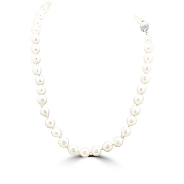 'Akoya' Sea Water Pearl Necklace P013