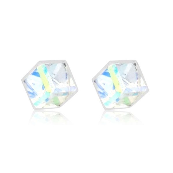 Sterling Silver Earrings SE025