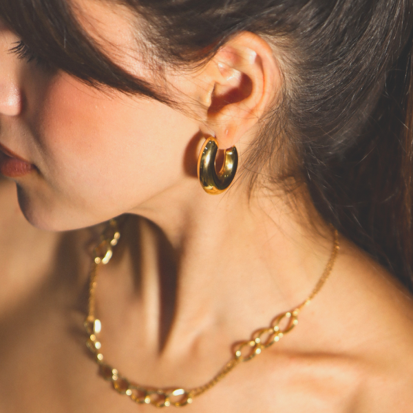 Stainless Steel Earrings VAR175