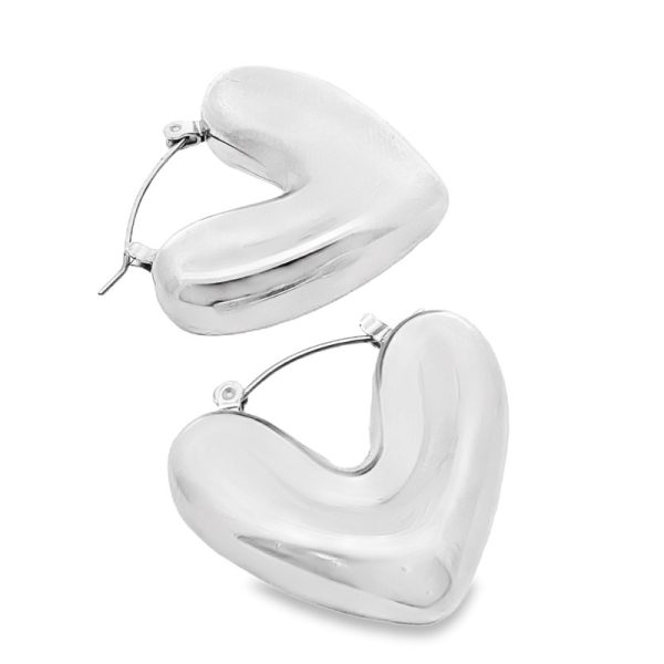 Stainless Steel Earrings VAR1741