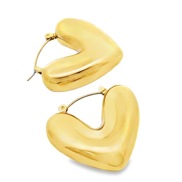 Stainless Steel Earrings VAR174