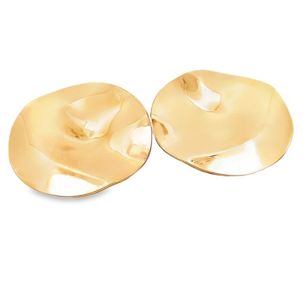 Fashion Earrings VAR176