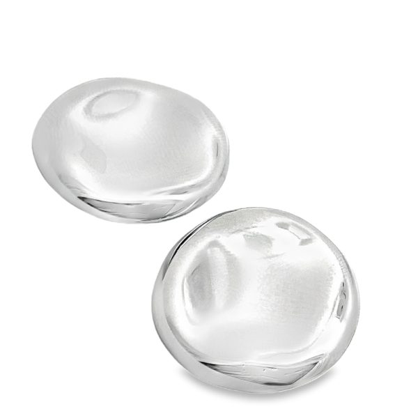 Stainless Steel Earrings VAR173