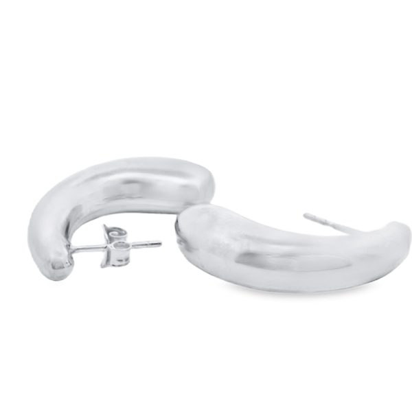 Sterling Silver Earrings SE0161