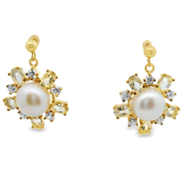 Sterling Silver Dangle Earrings SE014