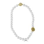 Shell Necklace SHN023