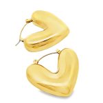 Stainless Steel Earrings VAR174